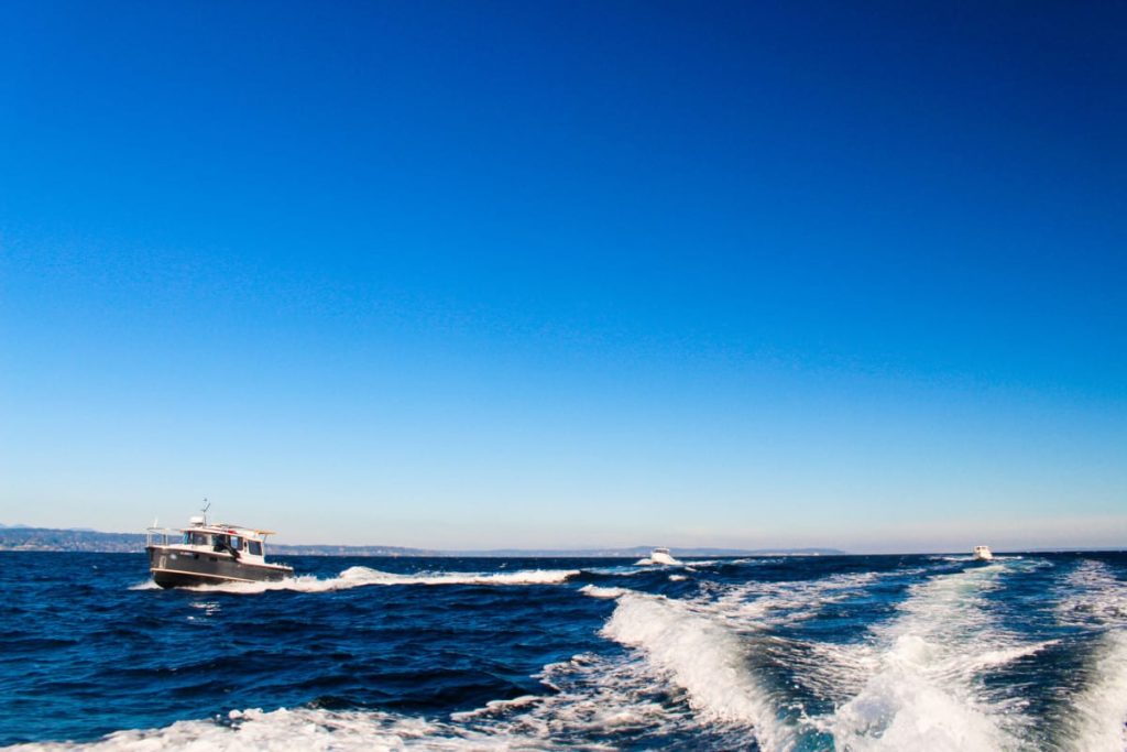 Puget Sound Day Cruises
